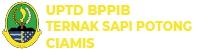 BPPIBTS Ciamis Logo